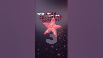 Riddles Challenge! Part -1 #shortstrivia #riddlechallenge #brainteasers #youtubeshorts #mindgames