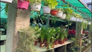 Plant Nursery Visit #rifanafarhan #rifanaartandcraft #vlog #tour #nursery #plantnurseryvisit