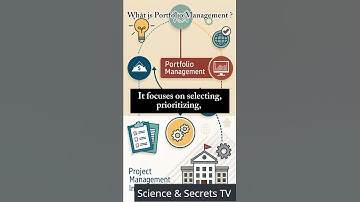 What is Portfolio Management (PMI Style)?