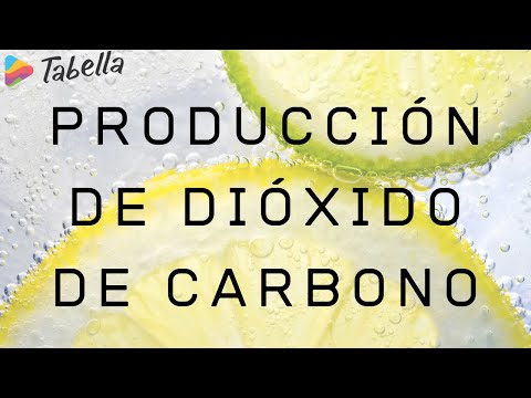 Video: ¿Cómo podemos mejorar el ciclo del carbono?