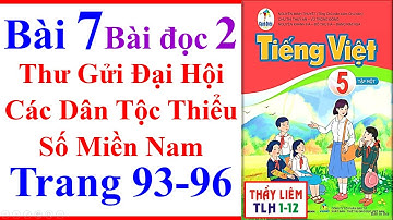 Tiếng Việt Lớp 5 Bài 7 | Thư Gửi Đại Hội Các Dân Tộc Thiểu Số Miền Nam Trang 93 Cánh Diều Bài Đọc 2