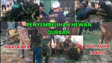 PENYEMBELIHAN HEWAN QURBAN 2025 ( HARI RAYA IDUL ADHA 1446 H  )