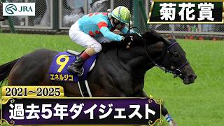 [Past 5 Years] Kikuka Sho (Japanese St. Leger) 2021–2025 | JRA Official