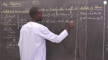 Cours - Première L - Mathématiques : Polynômes / Suite 1 / M. Boye