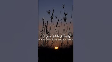 القارئ عبدالرحمن عادل عبدالهادي