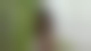 miyu kitamuki jpch gravure movies