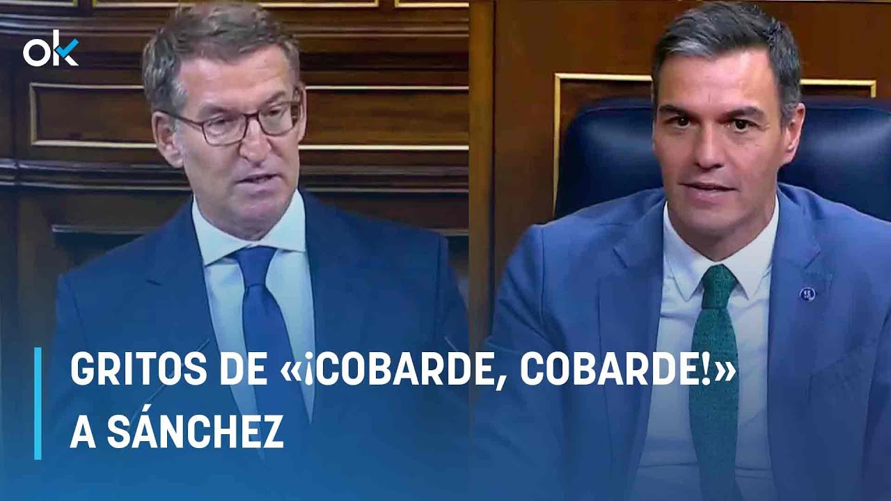 Gritos de «¡Cobarde, cobarde!» a Sánchez por no dar réplica a Feijóo en ...