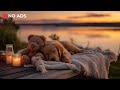 3 Hours of Dog Calming Music for Dogs 🐕💖 Anti Separation Relaxing Music 🐶🎶 DOG MUSIC