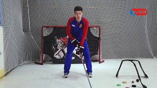 Техника ведения шайбы (Хоккей)