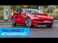 Tesla Model 3 (2023) : on a TOUT essayé ! (autonomie, confort, insonorisation, qualité perçue...)