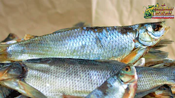 Вяленая рыба сырого-тузлучного, посола. Какой посол рыбы лучше, сухой или мокрый ?