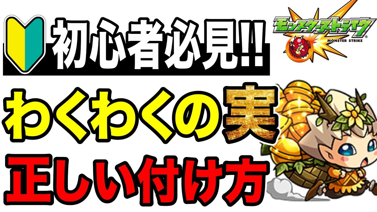 わくわく の 実