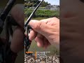 なんかいる!【霞ヶ浦バス釣り】