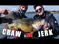 Craw vs jerk  xxl barsche mit toon van ham