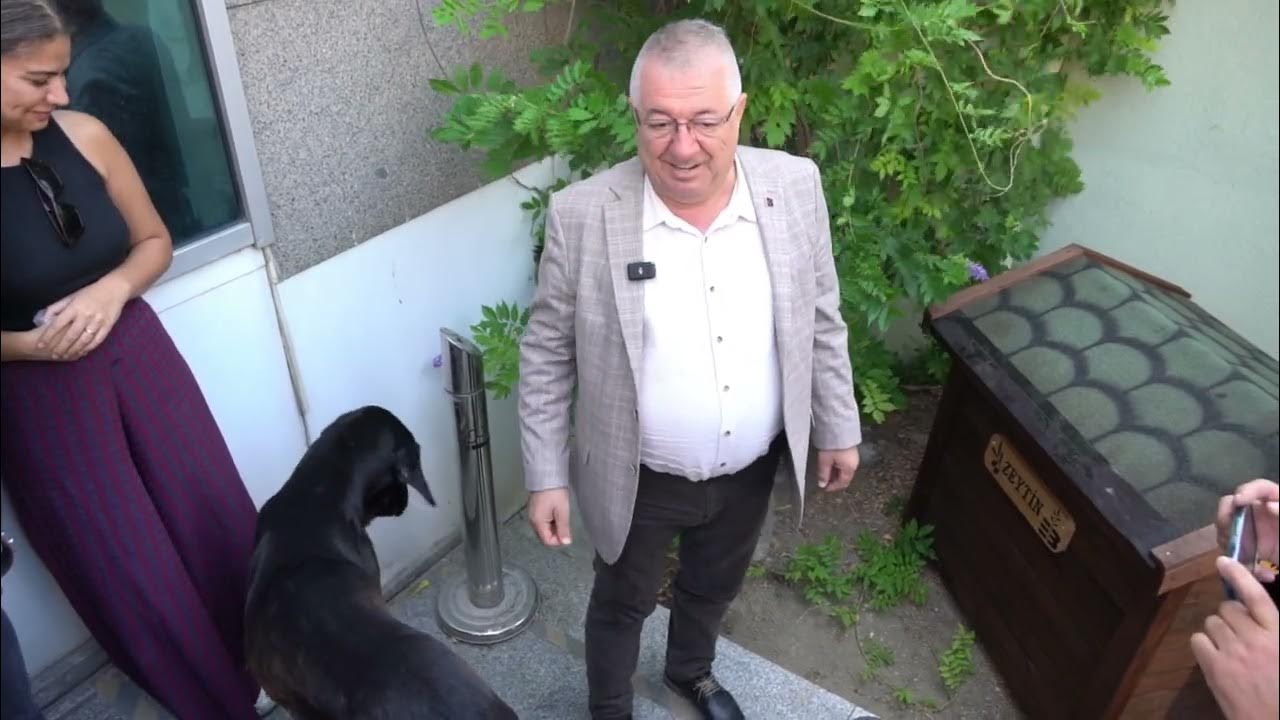 Edremit’te Başkan, sokak köpeğini sahiplendi