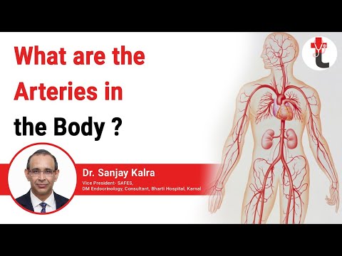 What are the arteries in the body || शिरा और धमनी क्या होती है || Arteries in Hindi