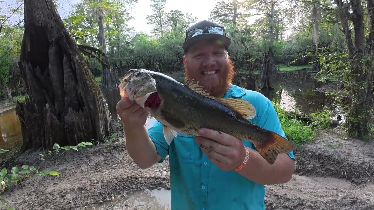 Bass fishing the creek at Riverneck Acres #outdoors #fishing #bassfishing