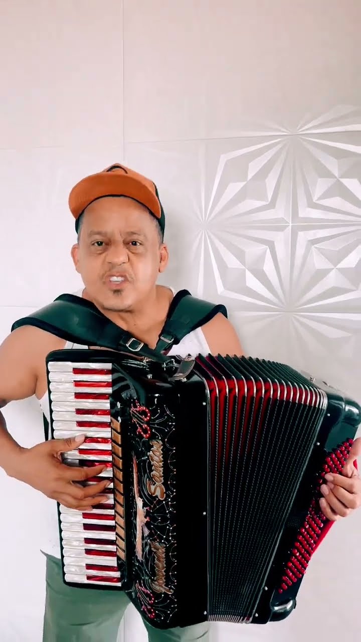 https://rifei.com.br/acordeon-melody-president
