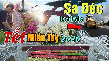 TẾT 2026 : FESTIVALS HOA SA ĐÉC LỚN MIỀN TÂY THẢM NHỰA LÀNG HOA ĐÓN KHÁCH DU LỊCH MIỄN PHÍ