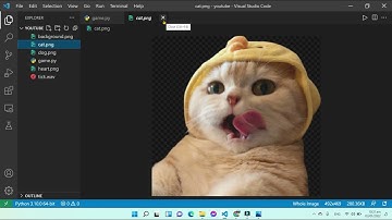Python Tutorial | cách tạo một game đơn giản dùng Pygame(PART 1)