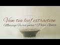 茶葉の抽出を眺めるだけの動画マリアージュフレール