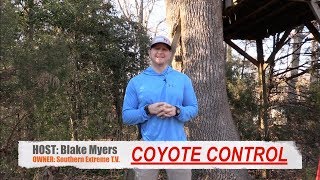 Coyote Hunting Tip #20  Stop Calling So Loud