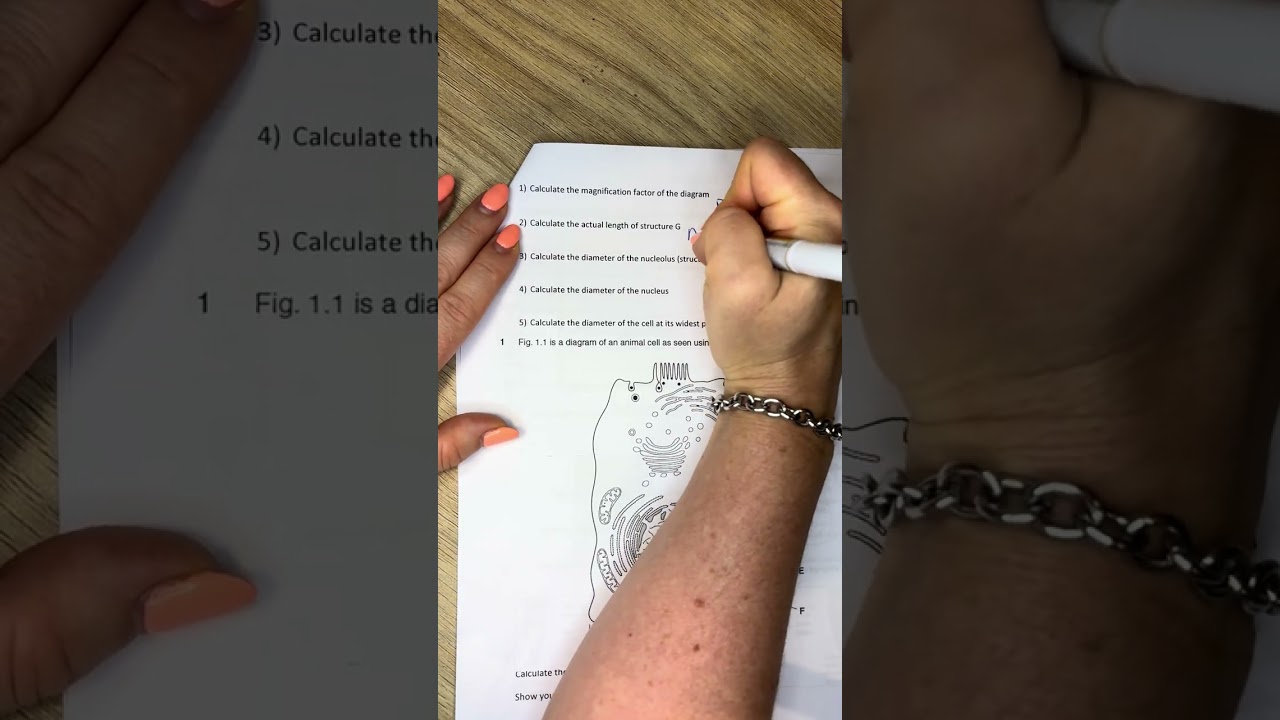 Magnification questions 