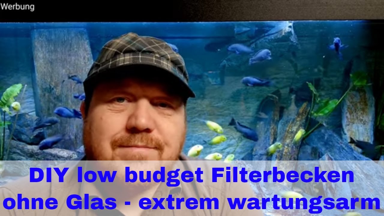 DIY Filterbecken ohne Glas selber bauen für mein 576 Liter Tropheus