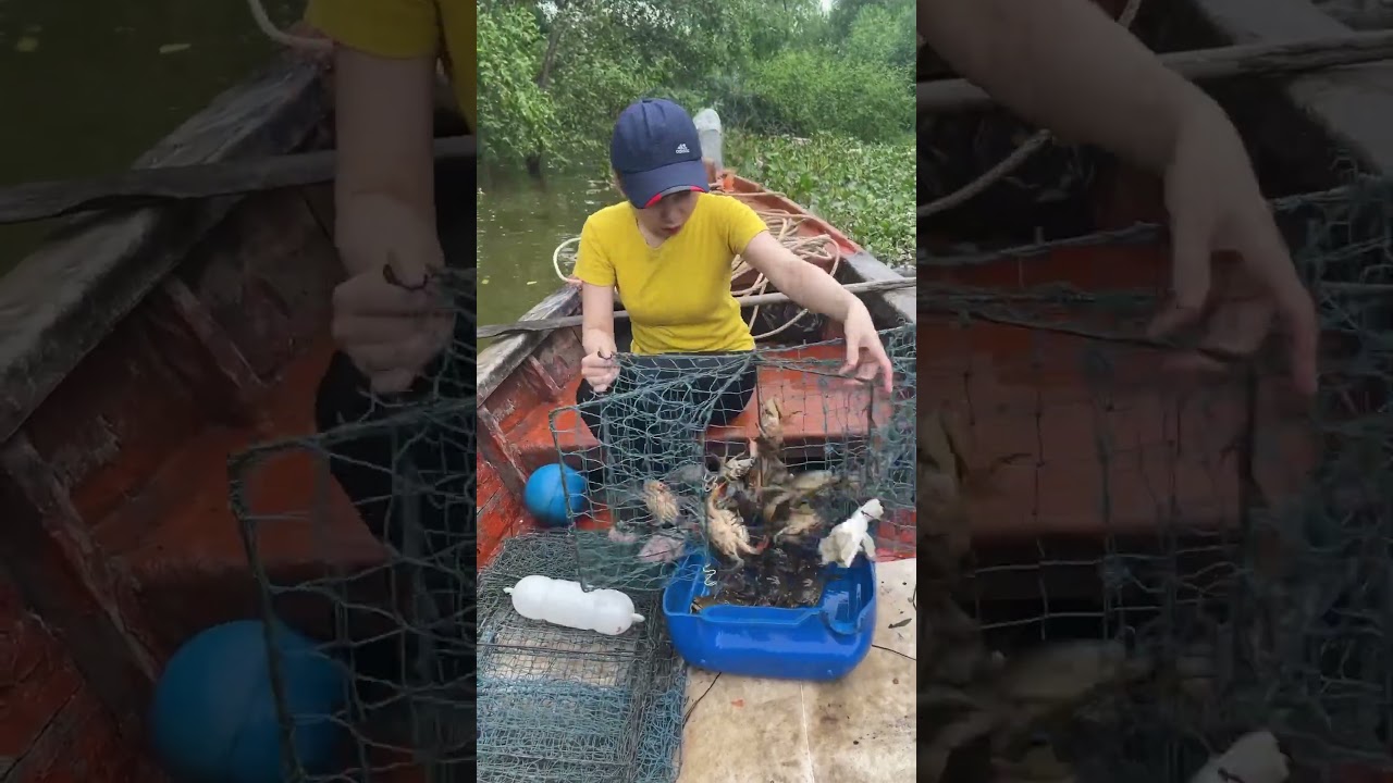Smart girl traps a lot of big crabs with an unique technique for survival
