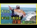 추자도 갯바위 찌낚시...날씨도 좋고 다양한 어종에 씨알까지 대박이네!! (fishing)