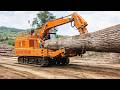When Giant Wood Chippers Go All In | Dangerous Tree Shredding