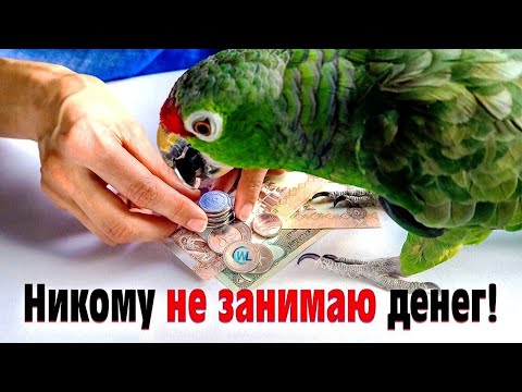 Почему нельзя давать деньги в долг? Себе же хуже