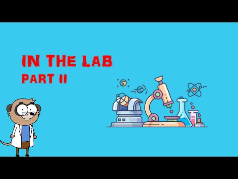 4. Sınıf İngilizce Dersi 6. Ünite "In the lab" Bölüm 2