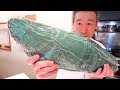 생선을 10일간 숙성시키면 어떤 맛일까!? Aging Fish for 10 days!? Filletting 10 Days Aged Amberjack for Sashimi