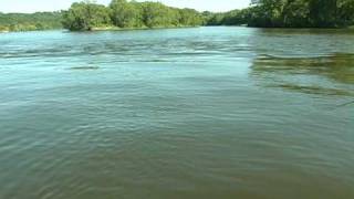 Fishing Wing Dam Walleyes With Tommy Skarlis