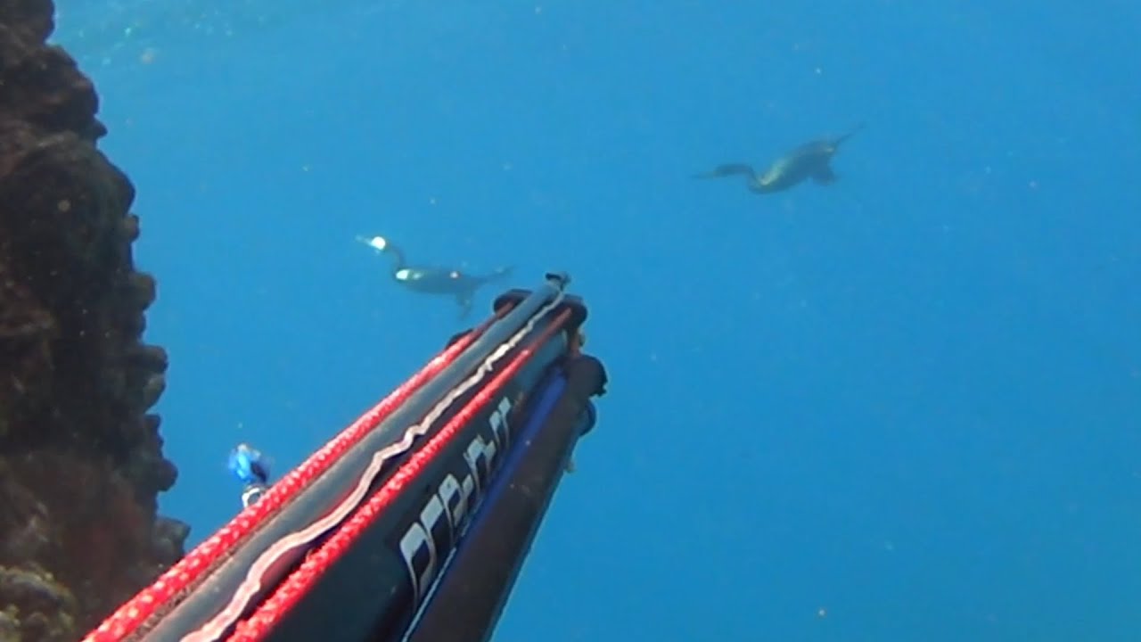 16 Νοεμβρίου 2023