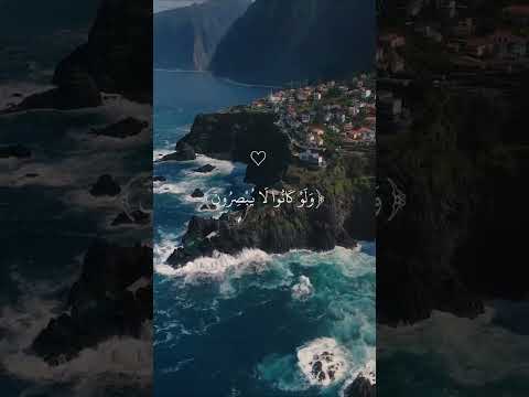 افانت تهدي العمي عبدالرحمن مسعد سورة يونس القسم 47