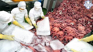 การผลิตอาหารทะเลจำนวนมากในโรงงานอาหารทะเลเกาหลี