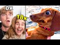 Probeer Niet Te Lachen/Huilen **CHALLENGE**