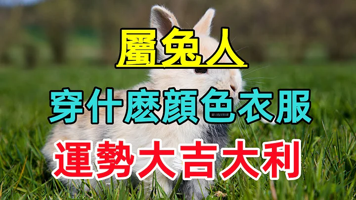 【生肖兔穿衣风水讲究】属兔的人穿什么颜色衣服最好？运势大吉大利！ - 天天要闻