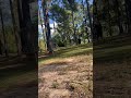 #mvpdiscsports ###doomsdaydisc #lifeisbutadream #flightfactory #trashpanda