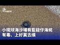 社會治安與消費安全案件頻傳，從車禍、內線交易到食品與海洋安全