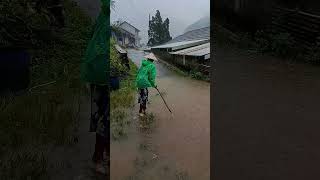 Rain sounds for relaxation #asmr #natur #rain #rainsounds #walking #walkingrain #walkingstreet