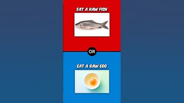 Would You Rather Questions (Episode 2)