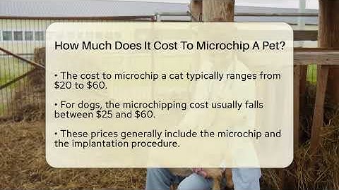 How Much Does It Cost To Microchip A Pet? - Ask A Pet Vet