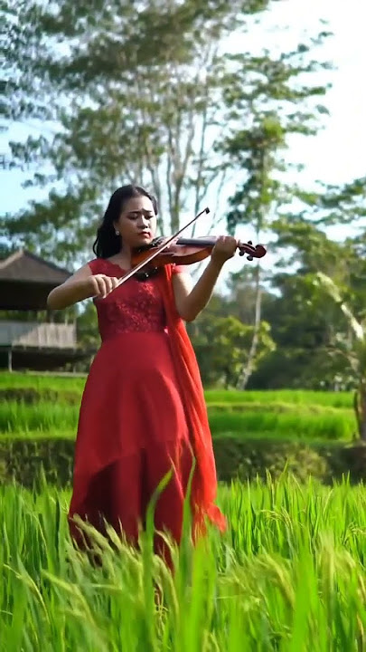 melodious violin instrument #instrumentlofi #channelrelaksasi
