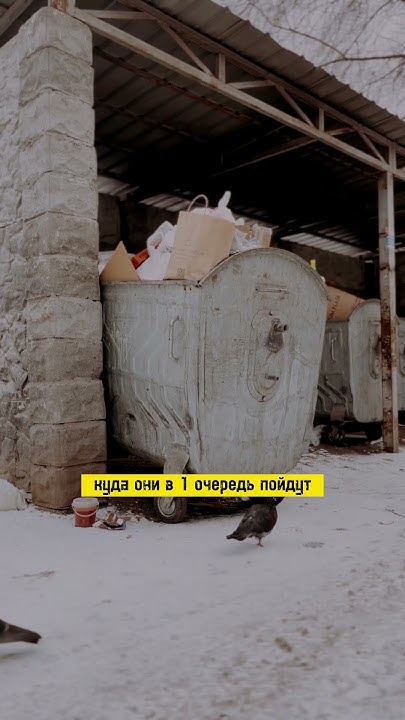 Находили под капотом объедки еды? #парковка #грызуны #проблемы # ...