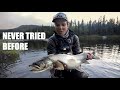 First time fishing legendary stream Sjöforsen