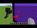 what if the wither goes to nether?