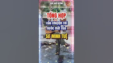 Tổng Hợp Những Câu Chuyện Rơi Nước Mắt Của Sư Minh Tuệ #suminhtue  #giacngoduong #phatphap